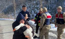 Kaybolan kazları ekipler buldu