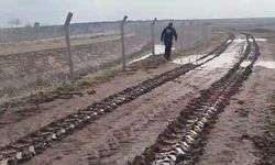 Kayıp kadını arama çalışmaları 12'nci gününde