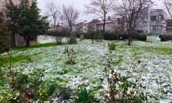 Keşan'da kar yağışı etkili oluyor