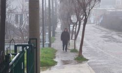 Keşan'da sis etkili oldu