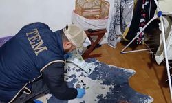 Kırşehir merkezli 3 ilde DEAŞ operasyonu: 12 tutuklama