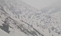 Kopan dev kaya parçası yola düştü; o anlar kamerada