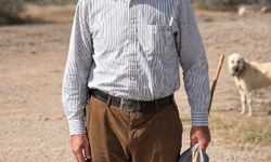 Kopan elektrik telini kaldırmaya çalışırken akıma kapılıp öldü