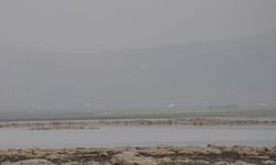 Kuruma tehlikesi olan Tahtaköprü Barajı'nda su seviyesi yükseldi