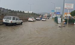 Kuşadası'nda sağanak etkili oldu; evlerin bahçeleri ve tarım arazileri su altında kaldı