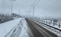 Malatya'da kar yağışı; taşımalı eğitime ara verildi (2)