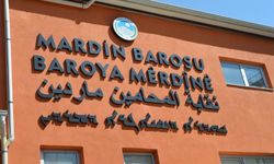 Mardin'de çocuğa ahırda şiddet kamerada; şüpheli serbest (2)