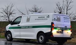 Mardin'de otomobil ile TIR çarpıştı: 2 ölü, 2'si ağır 3 yaralı (2)