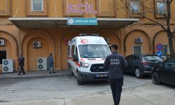 Medine'nin evinde silahla vurulmuş cesedi bulundu