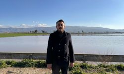 Menderes Nehri taştı: 2 bin dönümlük arazi sular altında kaldı