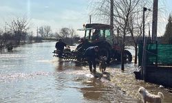 Meriç Nehri'nde taşkını 'Kanal Edirne' önledi / Ek fotoğraflar