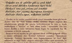 Midyatlı Melek Meryem, Milli Eğitim Bakanlığı'nın mektup yarışmasında birinci oldu