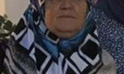 Muğla'da otomobilin, hafif ticari araçla çarpıştığı kazada ölü sayısı 3'e yükseldi