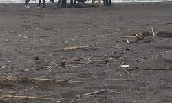 Muğla'da sahilde erkek cesedi bulundu