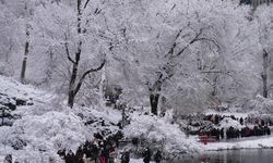 New York'ta soğuk hava nedeniyle 18 kişi hayatını kaybetti