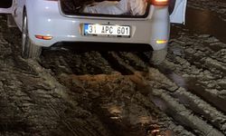 Niğde'de trafikte çıkan silahlı kavgada 2 kişi öldü; şüpheli Aksaray'da yakalandı