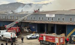 Ordu'da market deposu ve bitişiğindeki iş yeri yandı