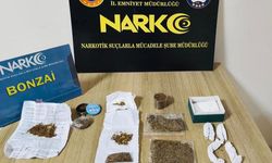 Ordu'da uyuşturucu operasyonunda: 19 tutuklama