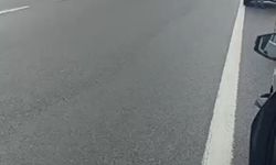 Otoyolda gişelere çarpıp alev alan otomobilin sürücüsü öldü