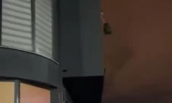 Özel davetiyeyle girilen ofise 'kumar' operasyonu; 18 kişiye toplam 208 bin TL ceza