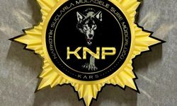 Peçeteye emdirilmiş 1104 içimlik bonzai ele geçirildi