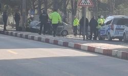 Polisin 'Dur' ihtarına uymayan sürücü, otomobiliyle ağaca çarptı: 2 yaralı