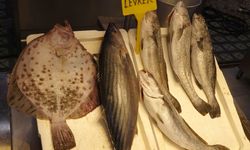 Ramazan geldi, balığa ilgi azaldı