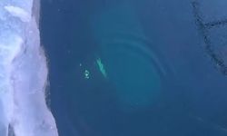 Rusya'da Baykal Gölü'nde tur aracı buzun altına düştü: 8 ölü