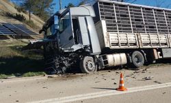 Sakarya'da TIR ile otomobil çarpıştı: 1 ölü
