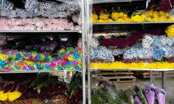 Sevgililer Günü için Hollanda'dan da çiçek getirttiler