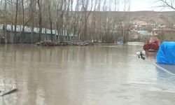 Sivas'ta Yıldız Irmağı taştı; araziler su altında kaldı, mezra yolu kapandı (2)