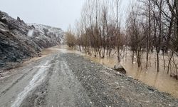 Sivas'ta Yıldız Irmağı taştı; araziler su altında kaldı, mezra yolu kapandı