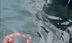 Soğuk havaya aldırış etmeden denize girip kıyıya vuran orkinosu çıkardı