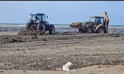 Su sümbülleri denize sürüklendi