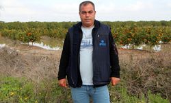 'Tarım arazileri su altında kalan Adana'da hasatlar 45 gün gecikecek'