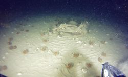 THY'nin 51 yıl önce düşen uçağının enkazından yeni parçalar bulundu