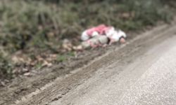 TIR'la getirilip, köye bırakılan düzensiz göçmenler yakalandı; 1 göçmen hipotermiden öldü