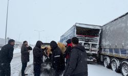 TIR'larda mahsur kalan 200 büyükbaşa yem desteği