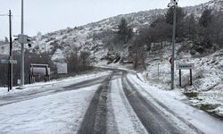 Trakya'da kar yağışı etkili oluyor (2)