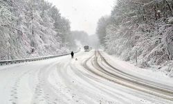 Trakya'da kar yağışı etkili oluyor (4)