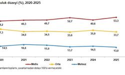 TÜİK: Türkiye'nin yüzde 53,3'ü mutlu
