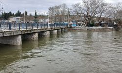 Uluabat Gölü'nde, araçların park edildiği köprünün altından yağışlar sonrası yeniden kayıklar geçiyor