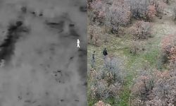 Uşak'ta yasa dışı avcılık yapan 2 kişi yakalandı