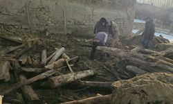 Üzerinde kar biriken ağıl çöktü, 40 koyun öldü