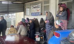 Üzerine istinat duvarı çöken kamyonetinde hayatını kaybetti