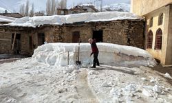 Van'da 106 yerleşim yeri ulaşıma kapandı; Bahçesaray'da kar kalınlığı 1 metreyi aştı (2)