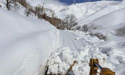Van'da 106 yerleşim yeri ulaşıma kapandı; Bahçesaray'da kar kalınlığı 1 metreyi aştı