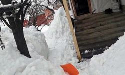 Van'da 76 yerleşim yerinin yolu kapandı; kırsal mahallede evler kara gömüldü