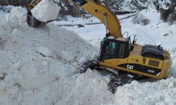 Van'da çığın kapattığı mezra yolunda zorlu mücadele