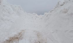 Van'da ekiplerin zorlu karla mücadele çalışması